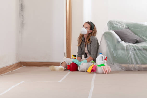 Reliable Mold Remediation contractor in Lewisville, NC by 24 Hour Mold Removal